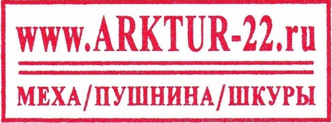Арктур норильск. Эмблема Арктур