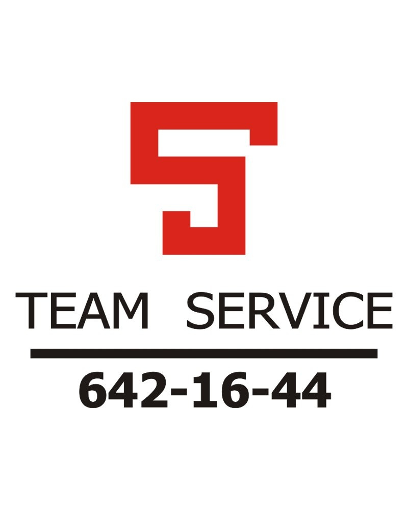 Firm team. V-Team компания. Тим ТРК. WHOIS service Team логотип.