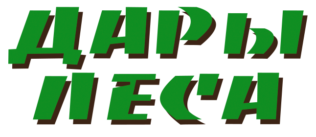 дары леса волгодонск. дары леса казань прайс. ярмарка дары леса. дары леса оренбург. дары леса оренбург.