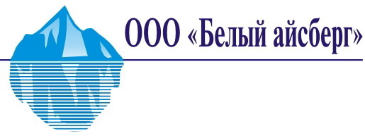 Айсберг калининград заказ. ООО Айсберг Норд. Эмблема Айсберг спортивный комплекс. Будённовск белый Айсберг. Iceberg белый свет.