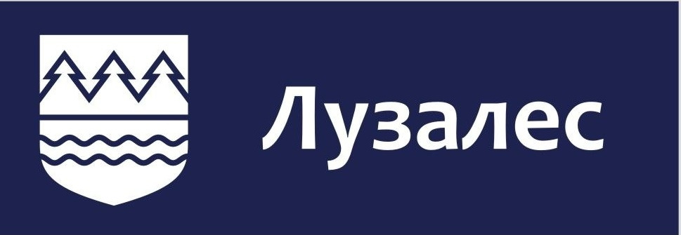 Ооо лузалес сыктывкар. Ооо лузалес. Лузалес сыктывкар. Лузалес арена сыктывкар. Лузалес кыддзявидзь.
