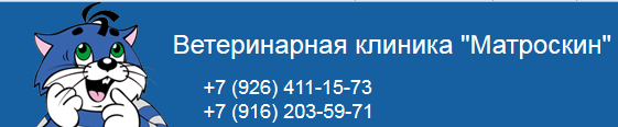 Ветеринарный режим. Матроскин ветеринарная клиника Подольск. Ветклиника Матроскин Подольск Кирова. Кот Матроскин ветклиника логотип. Ветклиника Матроскин реклама.