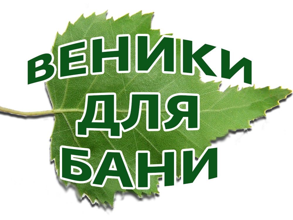 Веник для бани новосибирск. Отель изумруд. Изумруд логотип. Изумруд Екатеринбург. ЖСК изумруд логотип.