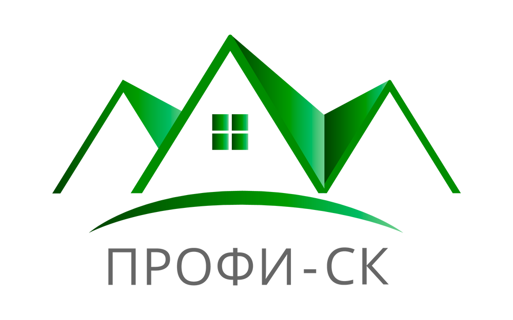 Deluxe construction. Профи эмблема. ООО профи. Сайт компания «дом профи». Профи ру иконка.