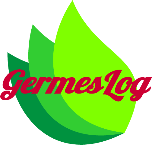 Ооо гермес. Гермес Логистик. Germes Logistic лого. Hermes Logistics Gruppe.